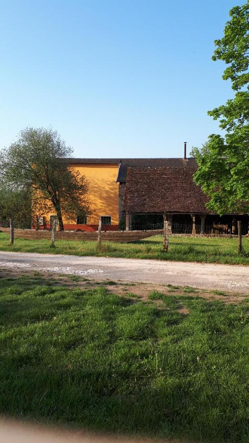 La Maison Du Potier Proche De Guedelon Saint-Amand-en-Puisaye Dış mekan fotoğraf